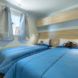 Mobile Home